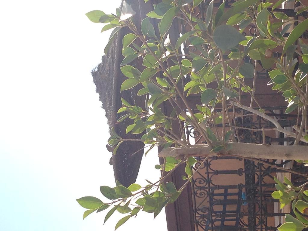 Riad Hiba Марракеш Экстерьер фото